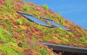 Cnoc A Lin living roof systems
